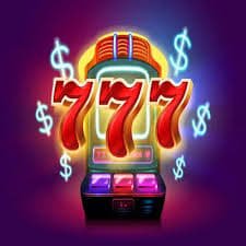 nn8